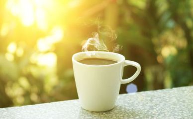 Mug-Coffee-Counter-Morning-Sun.jpg.560x0_q80_crop-smart